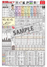 フリーチョイスのPDFサンプル画像です。